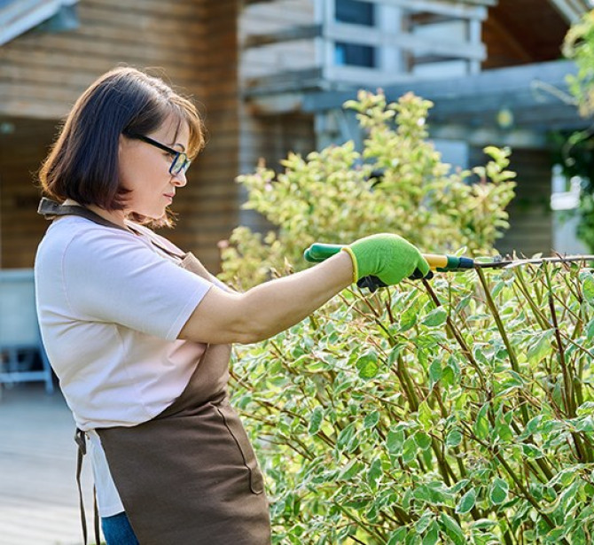 H-2B Temporary Worker